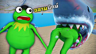 เอาตัวรอดจากฉลามสุดโหด !!! ฉลามพวกนี้กินกบมาก...โดยเฉพาะกบข่อย - Amazing Frog