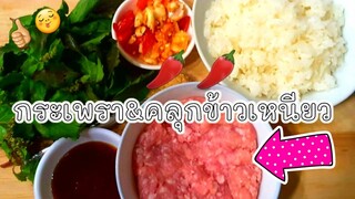 ผัดกระเพราข้าวเหนียว ผัดกระเพราคลุกข้าวเหนียว กระเพราหมูสับ|คลุกข้าวเหนียว