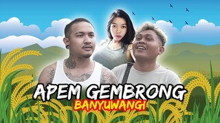 APEM GEMBRONG - KOMEDI ARYKAKUL BALI