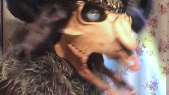 [Animal Costume] Moving Skeleton Sheep