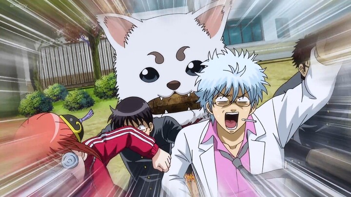 Gintama - Mr. Ginpachi's Zany Class episode 8 Full English Sub | REACTION