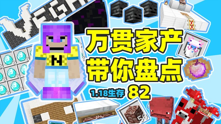 Inventory of all my assets in this series so far: MC 1.18 Survival, Day 82