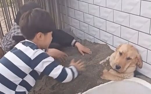 الكلب: من هو؟ من أنا؟ ما الذي يخطط له؟ وماذا عليّ أن أفعل؟