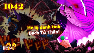 [Dự đoán OP 1042]. Kaido và Luffy tử chiến, Hé lộ danh tính Bạch Tử Thần!!!