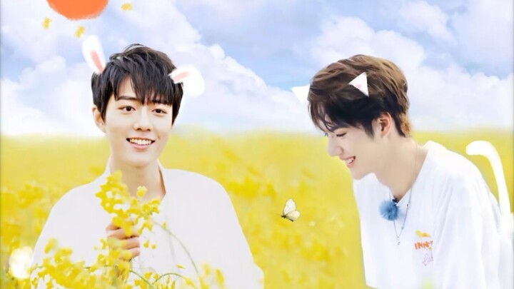 【Bo Jun Yi Xiao】Ah, gula besar Hari Nasional tidak masuk ya! Adik, yang tadi benar-benar membuatku k