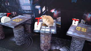 ภารกิจของหนูแฮมสเตอร์ EP 67