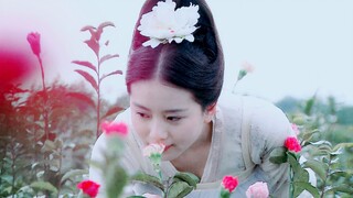 [Trang phục cổ Liu Shishi] Hai mươi bốn bông hoa nhân cách hóa