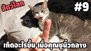 Ep.9 สัตว์โลกกวนตีน - [ พากย์นรก ] | easy boy