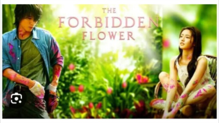 THE FORBIDDEN FLOWER Episode 19 Tagalog Dubbed