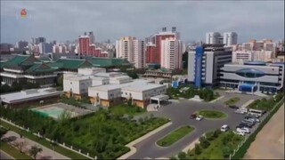 Grande liderança, feitos imortais