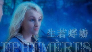【HP | 拉文克劳】生若蜉蝣，灿比花火 / Ephémères