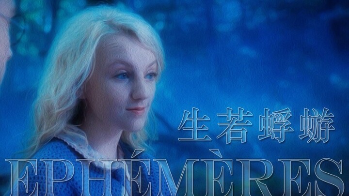 【HP | 拉文克劳】生若蜉蝣，灿比花火 / Ephémères