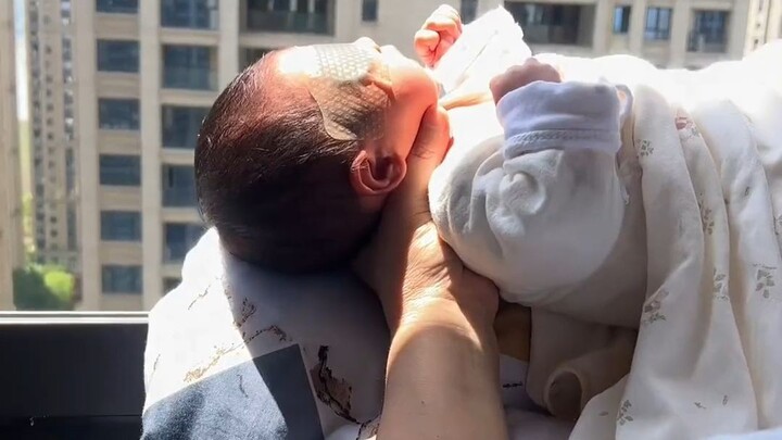 [Homo Sapiens TV] That’s right—basking in the sun by the window is just how it should be!