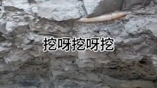 احفر، احفر، احفر