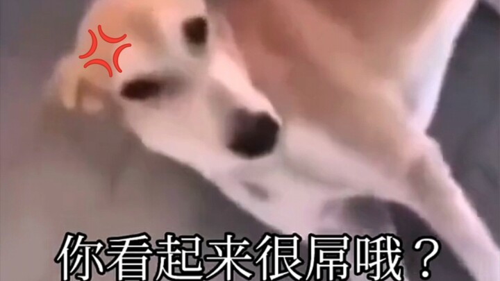 “F***ing insane—gotta watch it again!” «28»