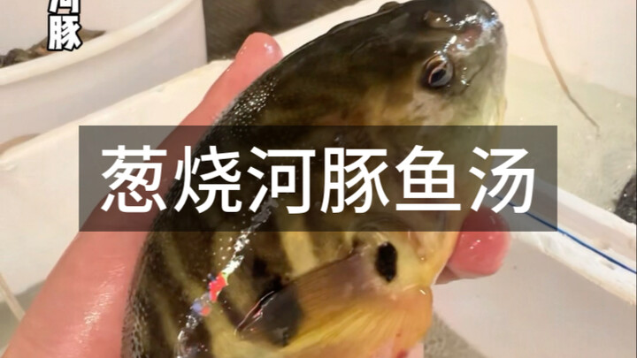 นักเรียนทั้งหลาย พวกคุณชอบกินปลาปักเป้ากันยังไงบ้าง? แล้วคุณกินตับกับหนังของปลาปักเป้าด้วยไหม?
