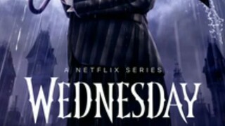 15 Wednesday - Netflix TV Show Review #addamsfamily #wednes
