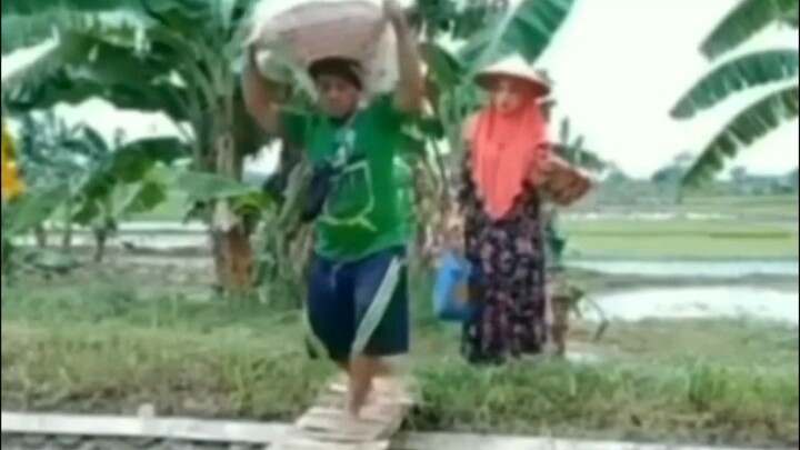 Random +62 bikin ngakak