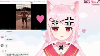生气中的日本猫猫（可爱粉）看搞笑视频没绑住