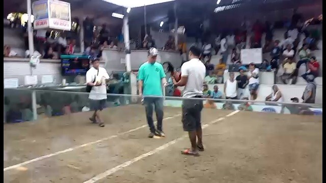 Mayahin vs white  may dalang mga walis
