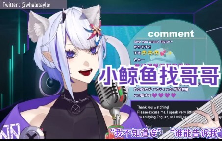 【ปลาวาฬเทย์เลอร์】——วาฬตัวน้อยกำลังมองหาพี่ชายมิ