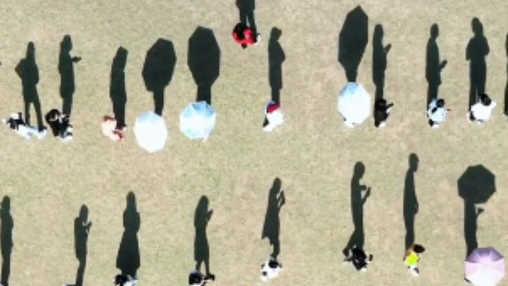 I stared for a long time before realizing it was just a shadow.