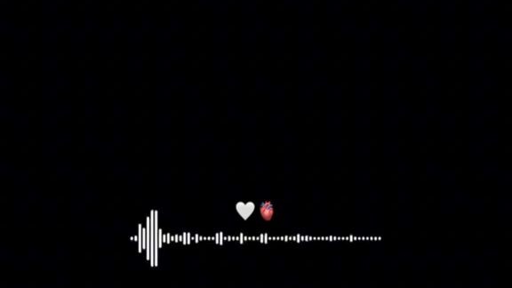bgm for life 😍