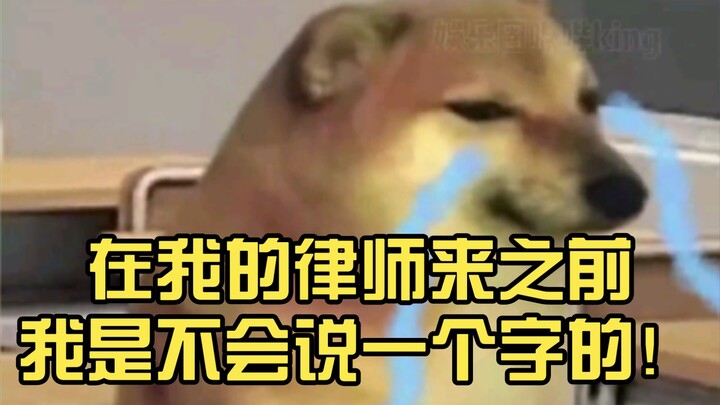 小狗：在我的律师来之前我是不会说一个字的！
