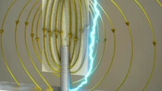 The Evolution of Insulator Shapes