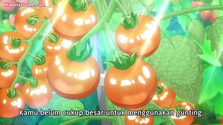 Shirobuta Kizoku desu ga Zense no Kioku ga Haeta node Hiyoko na Otout Episode 5 (Subtitle Indonesia)