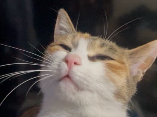 Maaf, Pak Perwira. Mata saya belum terbuka tadi jadi tidak mengenali Anda.