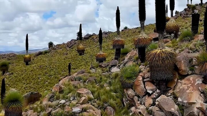 Bolivia es Increíble 6