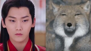 这 才 是 古 偶 丑 男 原 型（三）
