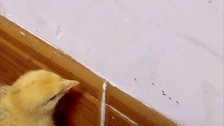 Nên rèn luyện kỹ năng cơ bản từ khi còn nhỏ.