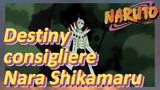 Destiny consigliere Nara Shikamaru