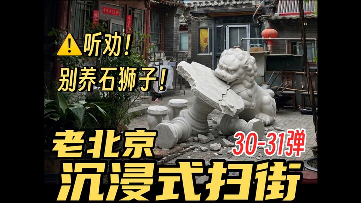 【Nghe lời khuyên! Đừng tùy tiện nhận nuôi sư tử đá】Chuyến dạo phố nhập vai kiểu Bắc Kinh cổ số 30–31