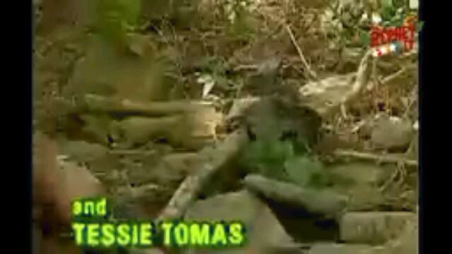 Tonyong bayawak  episode 1