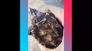 Cái hồ cá thần kì và những món ăn chảy nước miếng tiếp theo #amthuctrungquoc