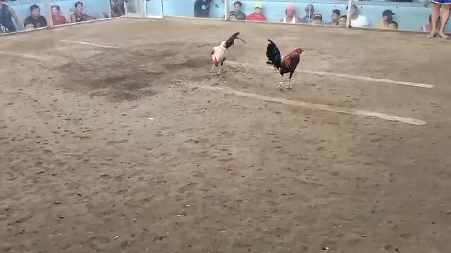 nagantihan pa panalo patay.