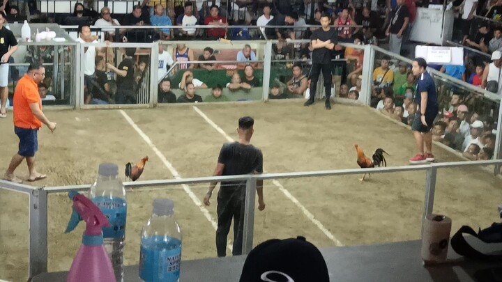 Battle of the Tiktokers 3cock 1st fyt..