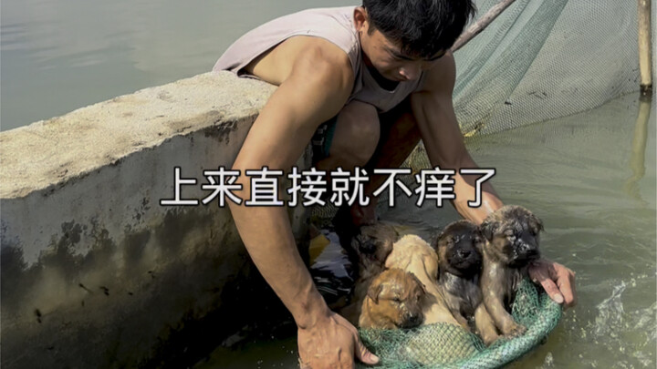 蜱虫看着就起鸡皮疙瘩，想不洗都不行。