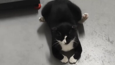 Hakimi Suddenly Stressed