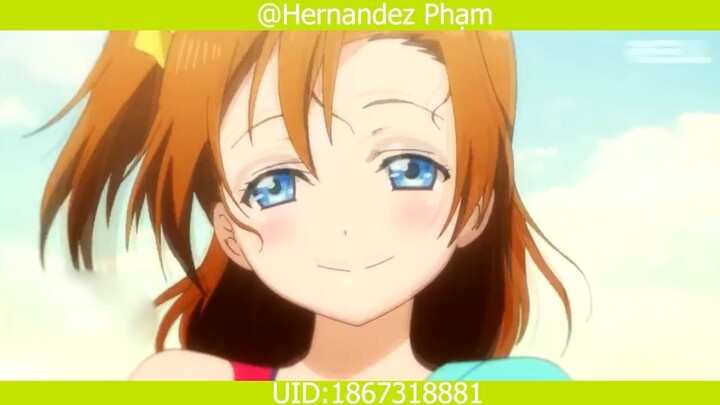 _ AMV _ Anime Mix Động vật  #anime