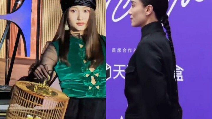 Tại sao phải mang lồng chim đi diễn? Muốn thể hiện điều gì?