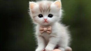 Will the whole world like cute little kittens?