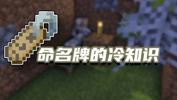 حقائق مثيرة وخفية عن ماينكرافت: هل تعرفون جميع المعلومات غير الـ4 بيضات الخفية؟