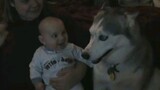 Dog speaking makes the baby laugh