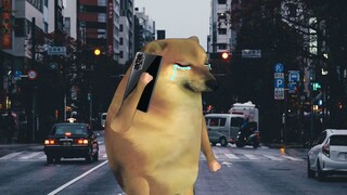 我知道你根本不爱我，我只是你池塘里的一条鱼而已