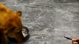 วาสนาที่สั่งสมมาตั้งแต่ชาติที่แล้ว