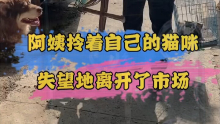 As a cat lover, I’m committed to finding the perfect forever home for every adorable kitty!